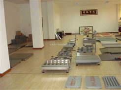 SCS新疆30顿电子小地磅