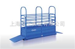 SCS上海畜牧秤