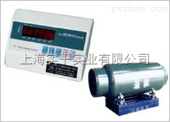 定做304不锈钢二氧化碳钢瓶秤