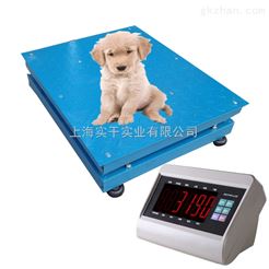 scs电子宠物称