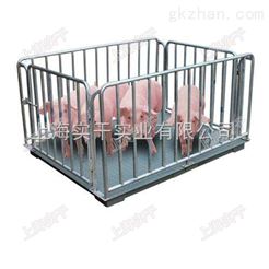 牲畜动物秤带围栏牲畜动物秤 黑龙江畜牧秤生产厂家
