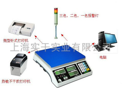 开关量输出电子秤